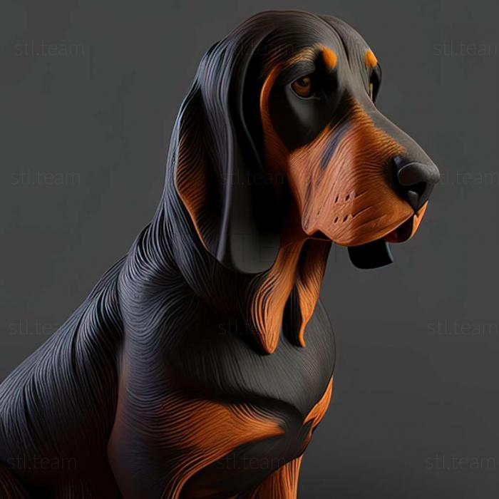 Black and tan Coonhound dog